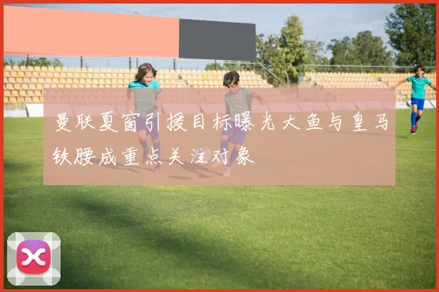 曼联夏窗引援目标曝光大鱼与皇马铁腰成重点关注对象