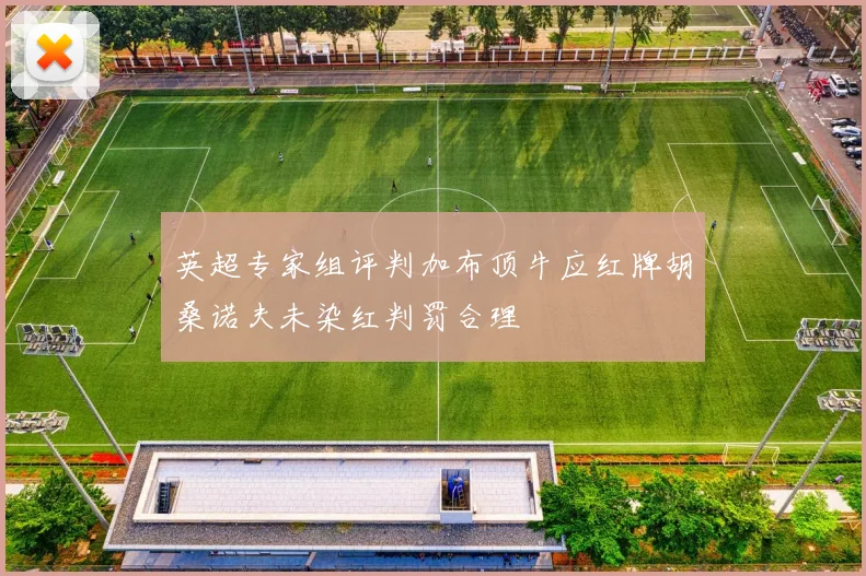 英超专家组评判加布顶牛应红牌胡桑诺夫未染红判罚合理